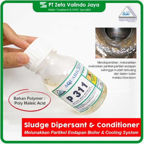 Anti Kerak Boiler AQUARIGHT P 311