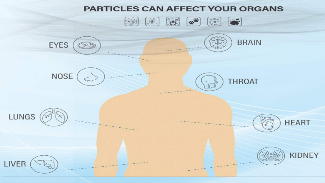 MIA Air Purifier Particle can affect human organs